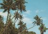 Mauritius - ca. 1975