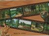 Belgien - Ardennen - 8 Teilbilder - 1975