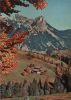 Schweiz - Simmental - Kaiseregg - ca. 1970