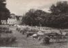 Pretzsch (Elbe) - Kurpark, Froschteich - 1969
