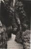 Preview image: Eisenach - Drachenschlucht - 1975 Eisenach - Drachenschlucht - 1975