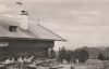 Bad Wiessee - Berggasthaus Aueralm mit Fockenstein - 1961