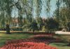 Bad Meinberg - Kuranlagen - ca. 1985