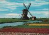 Niederlande - Holland - Bloemenland, Molenland - 1968