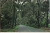 Charleston - USA - Road to Summerville