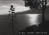 Italien - Sanremo - San Remo - ca. 1955
