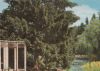 Rinteln Elfenborn - Blumenparadies - ca. 1955