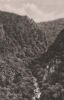 Thale - Blick vom Bodetor - ca. 1965