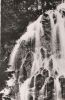 Bad Harzburg - Radau-Wasserfall - ca. 1965