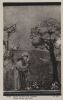Italien - Assisi - Basilica superiore di S. Francesco - ca. 1955