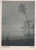 Sonnenuntergang - ca. 1950
