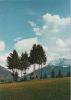 Österreich - Karwendel - Frühling - 1964