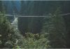Kanada - Vancouver - Capilano Suspension Bridge - ca. 1985