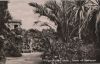 Wörlitz - Wörlitzer Park, Palmen und Floratempel - 1961