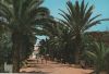 Spanien - Valencia - Las Arenas, Palmeral - 1983