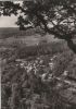 Altenbrak - Blick vom Bösen Kleef