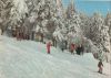 Skifahrer am Hang - 1983