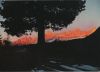 Italien - Dolomiten - Tramonto sul Catinaccio - ca. 1975