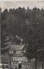 Braunlage - Wolfsbachühle b. Hohegeiß - ca. 1955