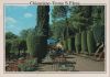 Italien - Chianciano Terme - S. Elena - ca. 1985