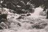 Braunlage - Wasserfälle - ca. 1955