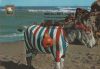 Spanien - Torremolinos - 1984