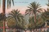 Italien - Nervi - Viale delle Palme - ca. 1925