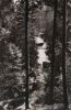 Waldnaab - am oberen Steg - ca. 1960