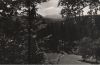 Preview image: Waltershausen - Kräuterwiese - 1960 Waltershausen - Kräuterwiese - 1960