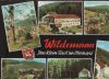 Wildemann im Oberharz - ca. 1965
