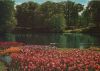 Niederlande - Holland - Bloemenland - ca. 1980
