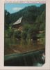 Schwarzwald - 1989