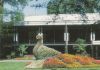 Bad Krozingen - Im Kurpark - 2002