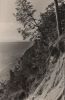 Preview image: Sellin - Steilufer - 1963 Sellin - Steilufer - 1963