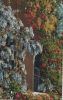 Frankreich - Cote d\’Azur - Glycines en Fleurs - ca. 1965