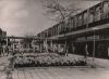 Niederlande - Rotterdam - Winkelcentrum Lijnbaan - 1961