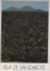 Spanien - Timanfaya-Nationalpark - Kamele - 1993