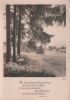 Im Wald ohne Müh und Last - ca. 1955