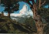 Schweiz - Zermatt - alte Bergarve - ca. 1980