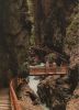 Österreich - Liechtensteinklamm - Nase - ca. 1980