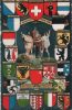 Schweiz - Schweiz - Wappen der Kantone