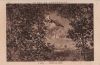 A. Sisley Lisiere de Foret
