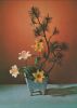 Ikebana Hoffen auf ein neues Licht