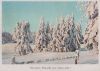 Zum neuen Jahr Winterwald