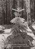 Herzliche Weihnachtsgrüße Baum unter Schnee