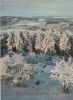 Im Neuen Jahr Winterwald