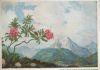 Berchtesgaden Alpenrosen