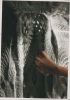 Preview image: Risch Hansmeyer Risch Hansmeyer