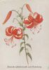 Zum Namenstag Blume