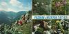 Niedere Tatra - Slowakei - 5 Bilder